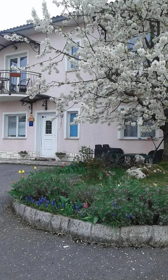 Guest House Surina Rupa