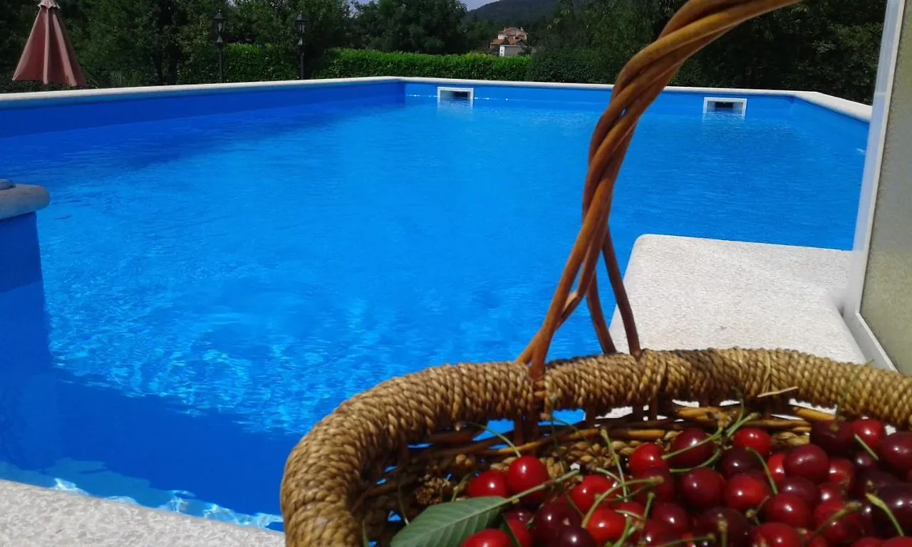 Guest House Surina Rupa Croatie
