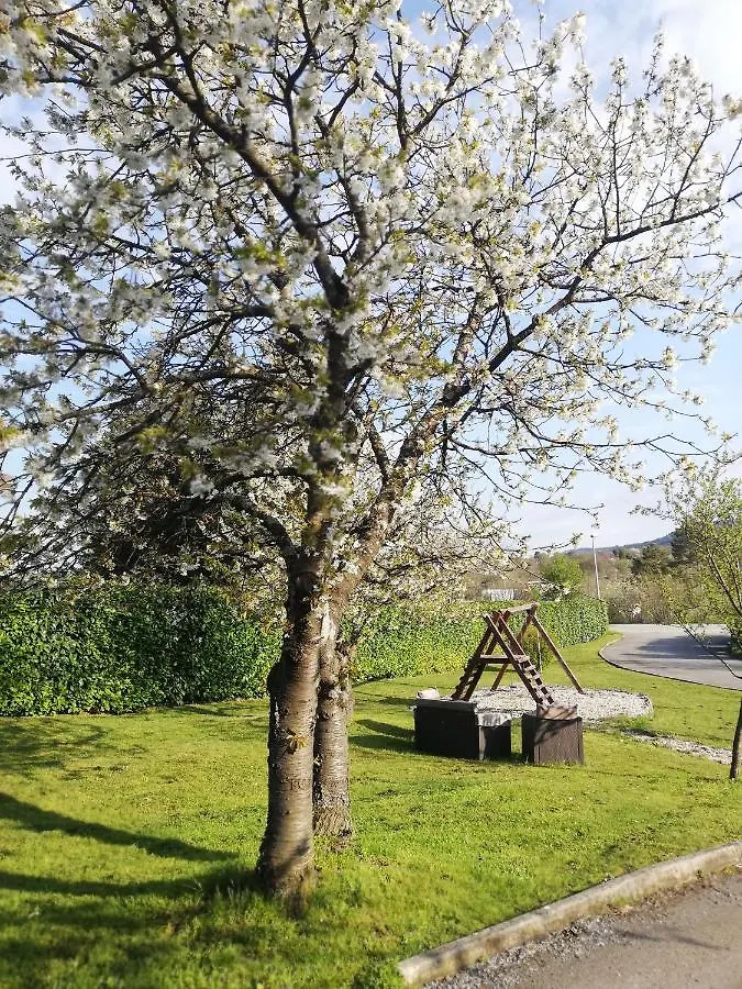 Guest House Surina Rupa