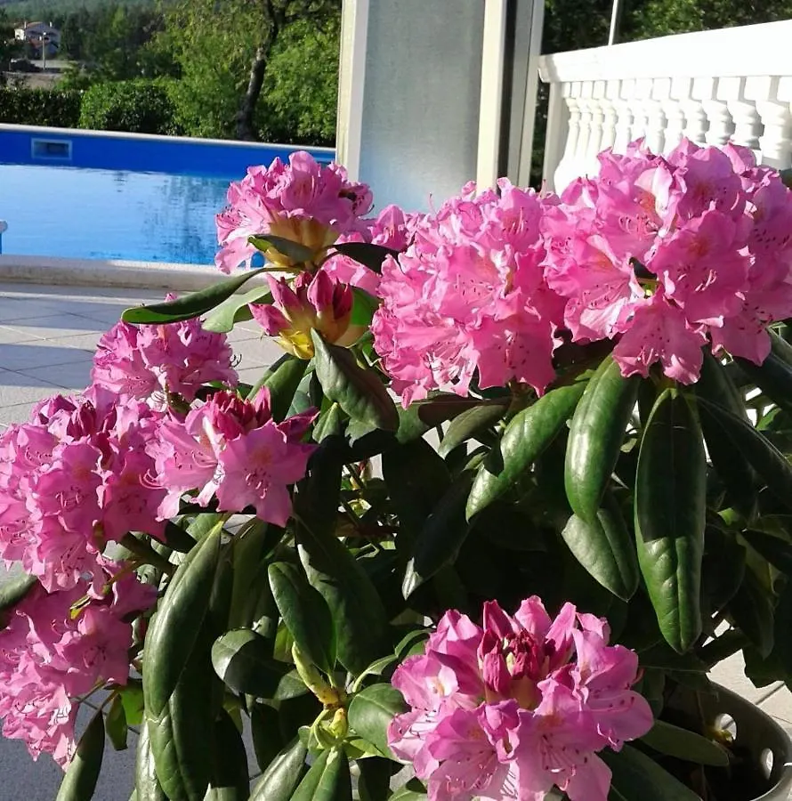 Guest House Surina Rupa 3*,  Chorwacja